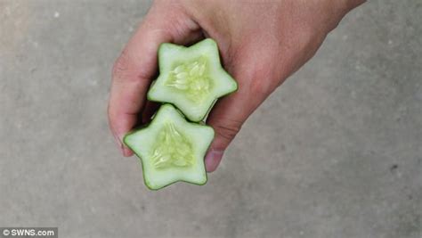 Груша в виде Будды: самые причудливые овощи и фрукты в мире - Новости ...