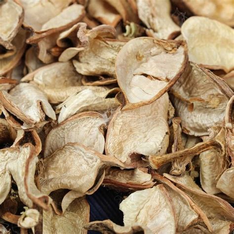 Сублимированные грибы: что это и где использовать? | Abat | Дзен