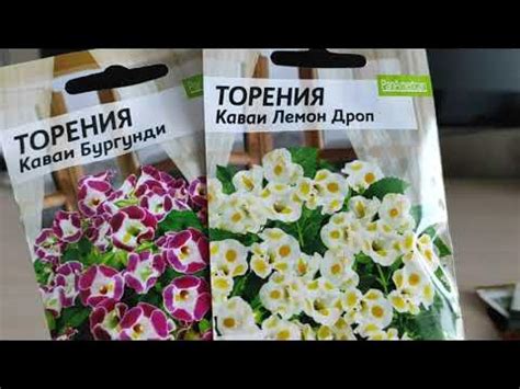 БОЛЬШОЙ ОБЗОР СЕМЯН ОЧЕНЬ КРАСИВЫХ ЦВЕТОВ #семена #семенацветов # ...
