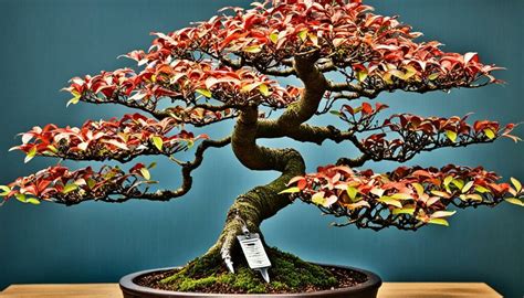 Bonsai Tree Species Deep Dive The Versatile Dogwood
