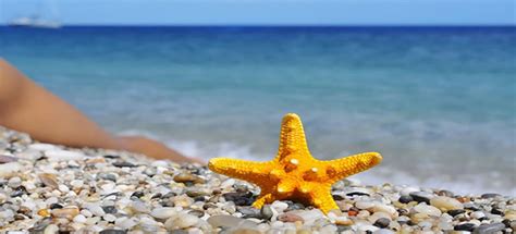 20 Claves Para Elegir Tu Bikini Ella Y El Abanico