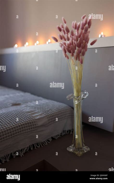 Willow Bouquet With Pink Pussy Willows In Transparent Glass Vase On