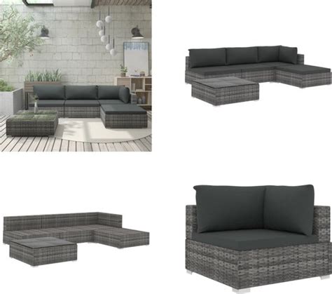 Vidaxl Delige Loungeset Met Kussens Poly Rattan Grijs Tuin