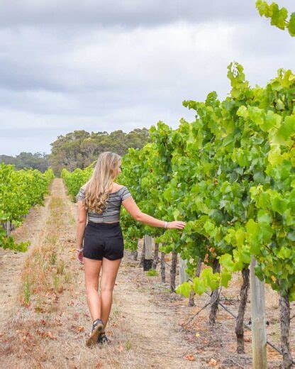 Best Margaret River Wine Tours What To Know Before You Book