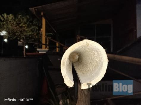 Review Kamera Infinix Hot G Ternyata Kayak Gini Hasil Fotonya Tuxlin Blog