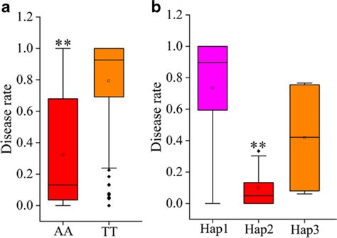 Superior Allele Analysis And Haplotype Analysis Of Snps Significantly Download Scientific