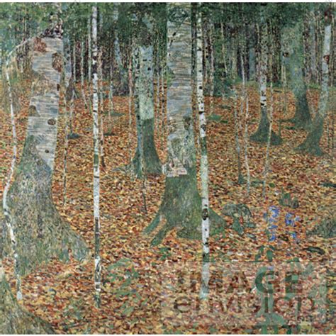 Photo of a Forest of Birch Trees by Gustav Klimt | #19061 by JVPD | Royalty-Free Stock Illustrations