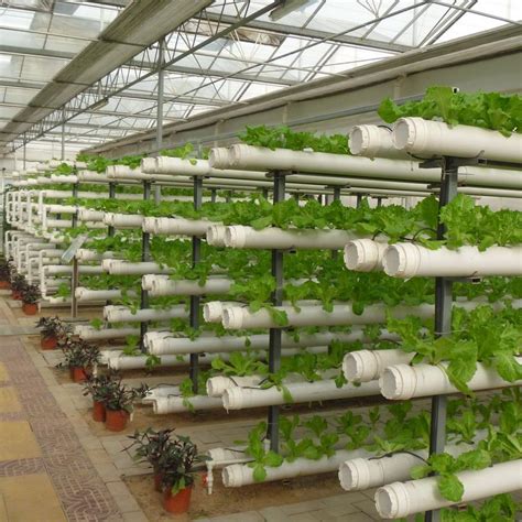 Гидропоника: оборудование для выращивания клубники и установка своими ...