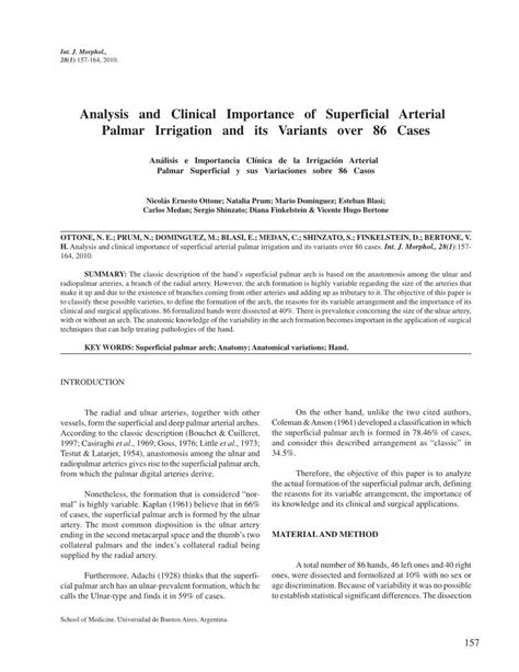 Analysis And Clinical Importance Of Superficial Arterial Palmar