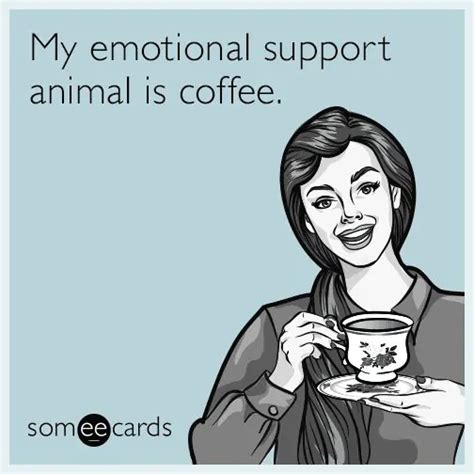 75 Funny Coffee Memes To Brighten Up Your Day