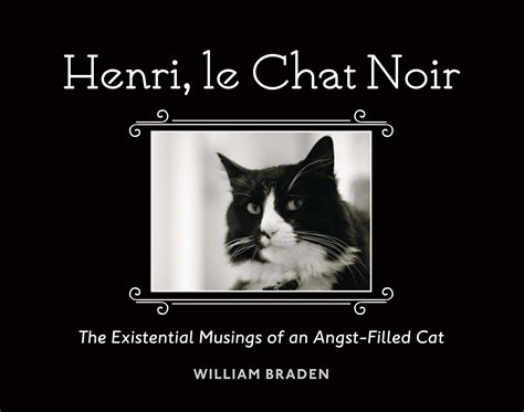 [Image - 427821] | Henri, Le Chat Noir | Know Your Meme