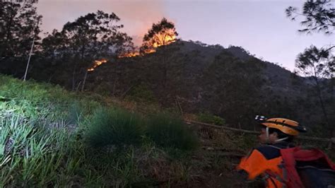 Kebakaran Hutan Di Gunung Panderman Diduga Karena Petir Sambar Pohon