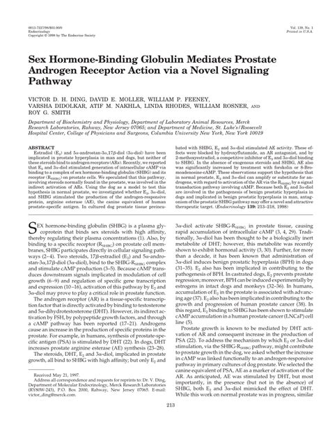 PDF Sex Hormone Binding Globulin Mediates Prostate Androgen Receptor Action Via A Novel