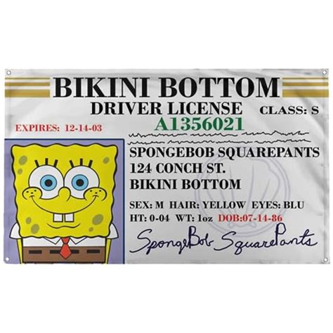 I Tested The New Bikini Bottom Driver S License And Here S Why It S A Game Changer