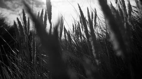 Kate Moss For Naked Cashmere Youtube