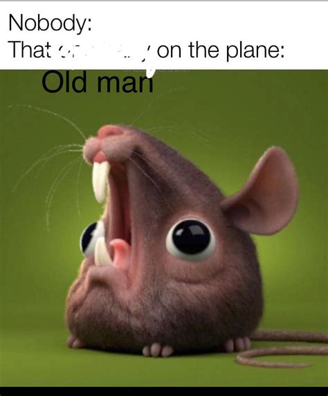 Has this ever happened to you? : r/IThinkYouShouldLeave