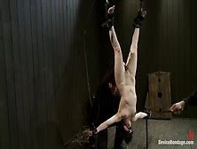 Juliette March Nude Pornstar Search 707 Results