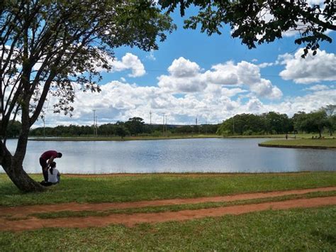 Parque Da Cidade Sarah Kubitschek Bras Lia Atualizado O Que