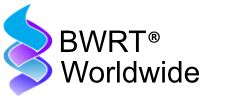 BWRT Worldwide | Brain Working Recursive Therapy