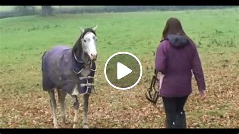 След месеци в чужбина тя се прибра и вижте реакцията на коня когато я видя!