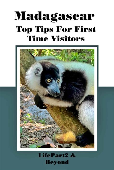 Planning On Visiting Madagascar? - LifePart2andBeyond.com