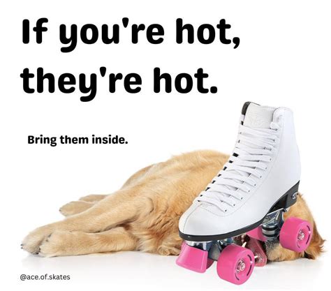 If Youre Hot Theyre Hot R Rollerskating