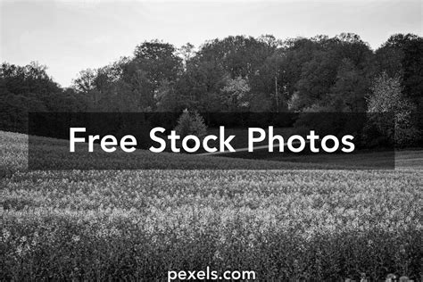Desktop Wallpaper Farm Photos Download The Best Free Desktop Wallpaper