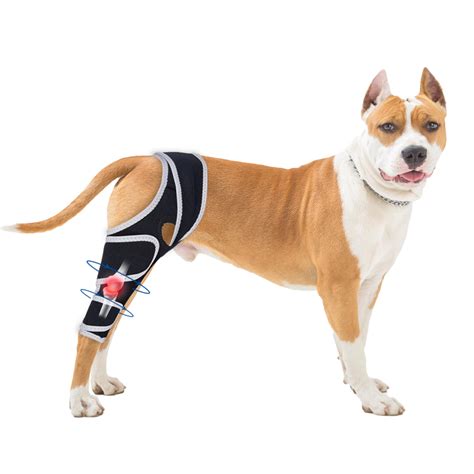 Dog Knee Brace for Torn Acl Hind Leg - Relieves Ligament Injury and