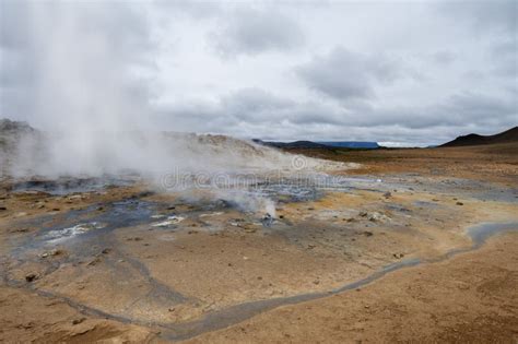 Magnificent Wildlife Landscapes In Iceland Stock Image Image Of