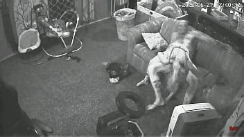 18 Year Old Gf Fucked Hard XVIDEOS