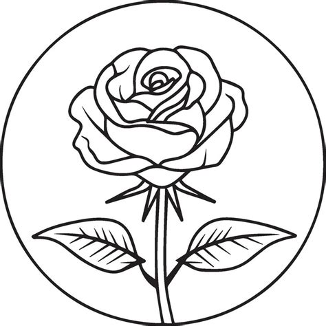 Rose coloring pages. Rose flower outline vector 42396386 Vector Art at ...