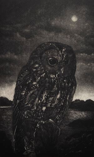 The Seer Susandaviesart