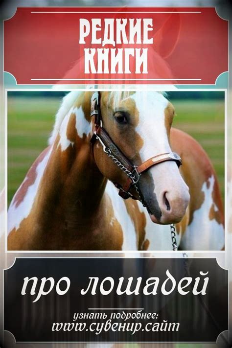Редкие книги про лошадей для подарка l интернет магазин Москва # ...