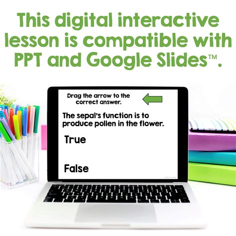 Flower Structures Interactive Lesson - Bright in the Middle