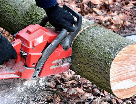 Gasoline Vs Electric Chainsaw Bison Machinery