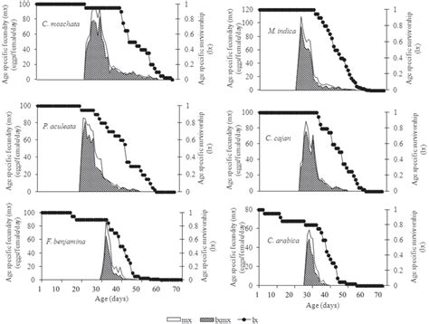 Age-specific fecundity (m x), age-stage specific maternity (l x m x ...