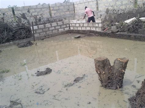 Fish Pond Construction In Nigeria Agriculture Nigeria