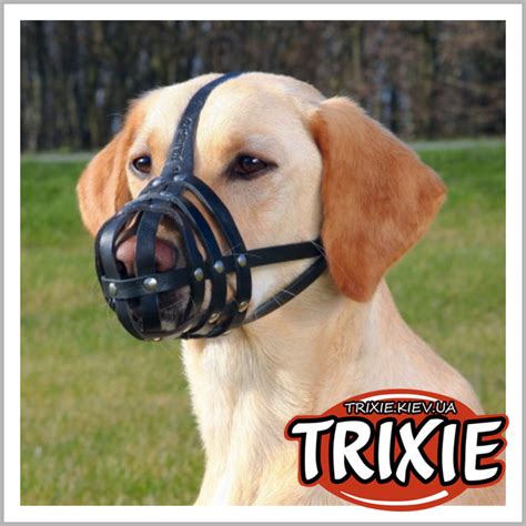 TX-19273 Намордник для собак TRIXIE - Julius-K9 (Размер: 34см/31см ...