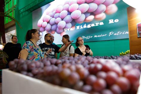 Festa Da Uva Ter Diversas A Es De Sustentabilidade Not Cias