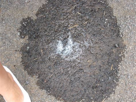 Lovely French MILF Gets Zucchini Therapy Fucks All Over The Place Porn Pic