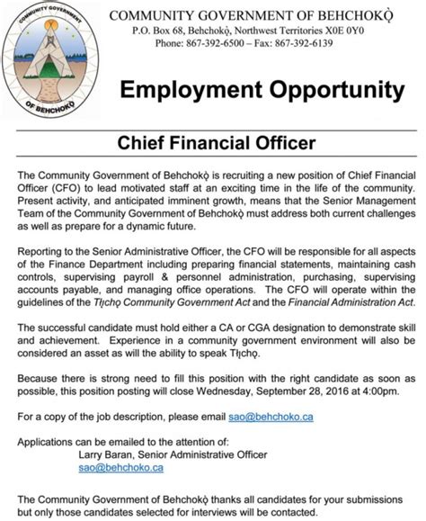 finance officer job description  chief financial officer job