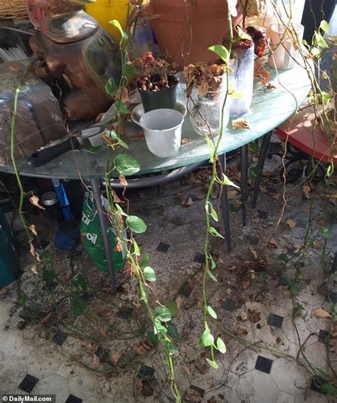 EXCLUSIVE Porn Star Ron Jeremy Had Amassed 4MILLION Fortune While Living In Squalor In One Of