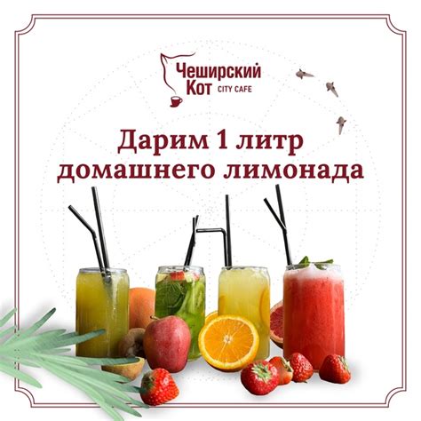 Дарим 1 литр освежающего домашнего лимонада от Кафе | Чеширский кот ...