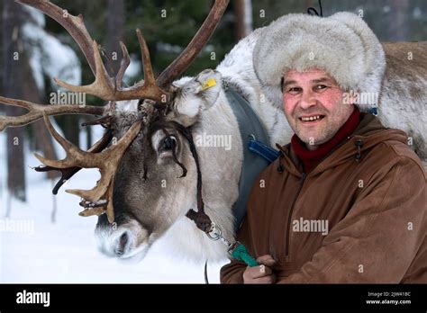 Portrait Of A Shepherd With His Reindeer Warmer Temperatures Mean The
