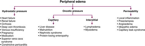 Unilateral Lower Extremity Edema | Hot Sex Picture