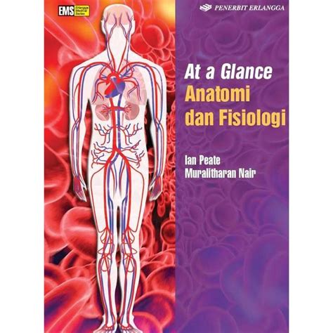 Jual Buku Anfis ORIGINAL Buku At A Glance Anatomi Dan Fisiologi