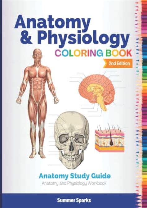 Anatomy And Physiology Coloring Anatomy Study Guide Anatomy And