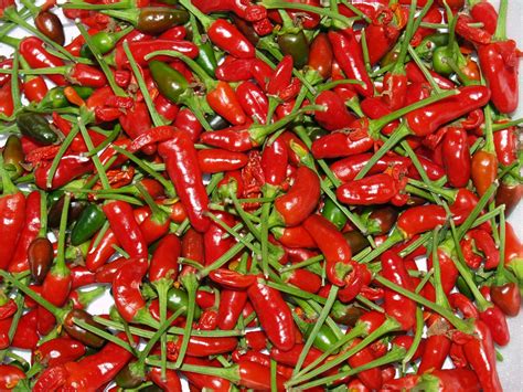 Thai Hot (острый перец Тай Хот)