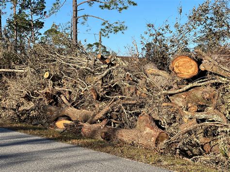 Official Resources and Services of the Lowndes County Sheriff’s Office