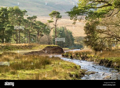 Forest Of Bowland Aonb Stock Photo Alamy